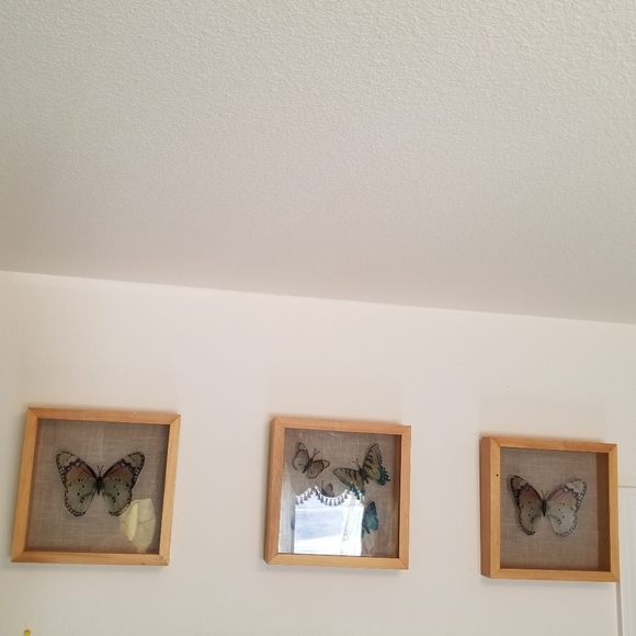 B3 Threshold 1 Large Faux Butterly Shadow Box - Picture 7 of 7